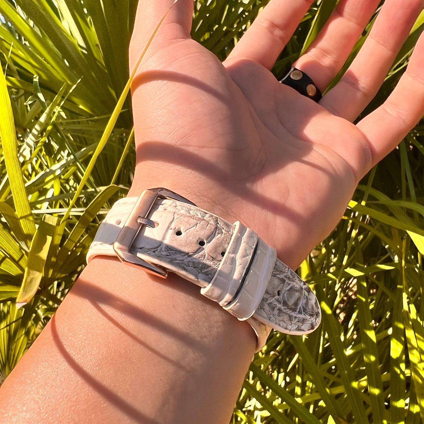 Apple Watch band-Fuji Series