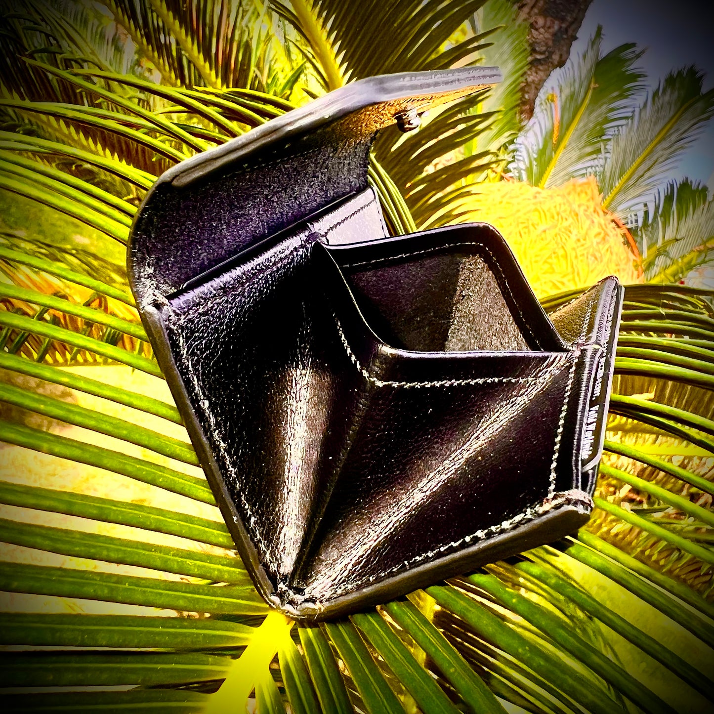 LFT Coin Case