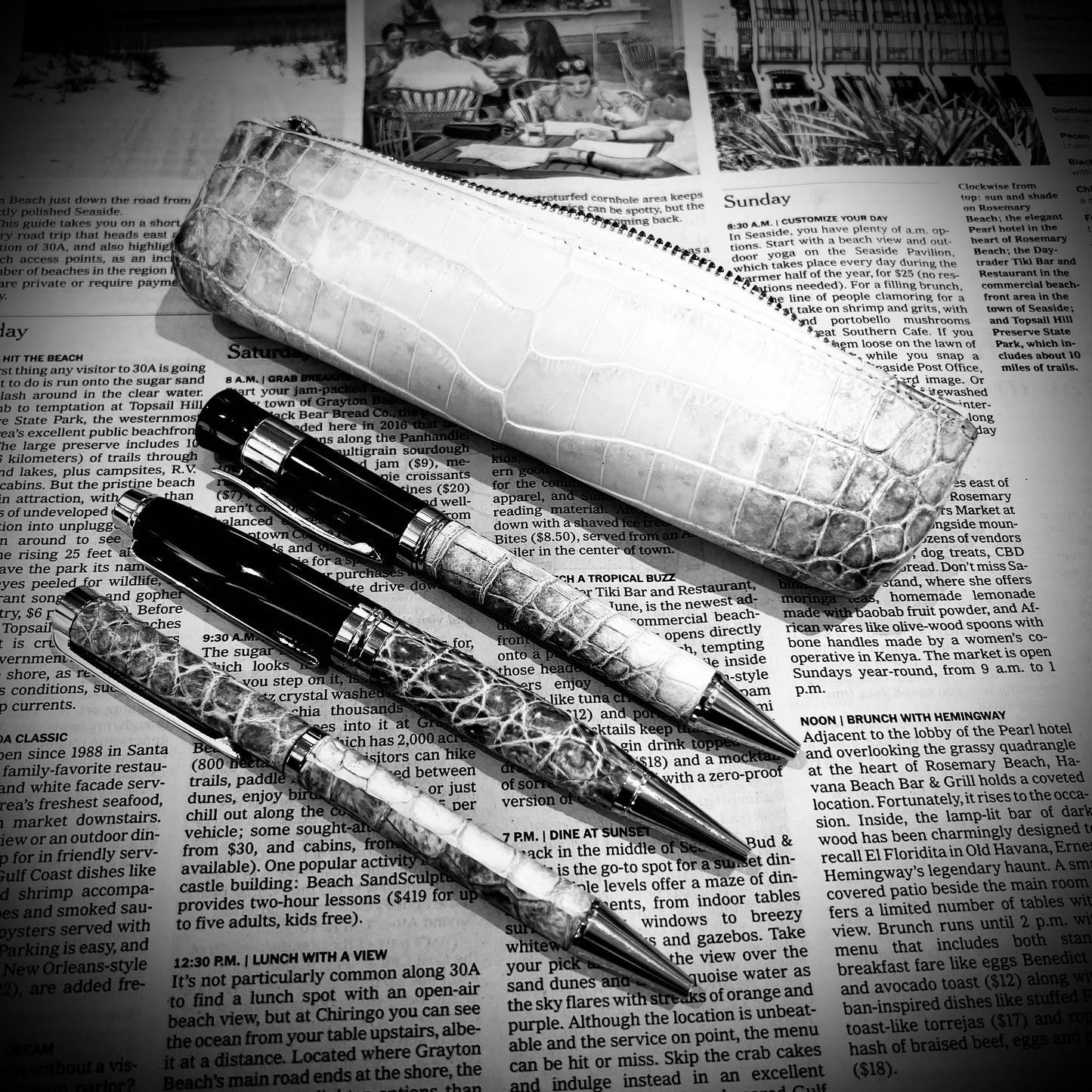Pen Case-Fuji series