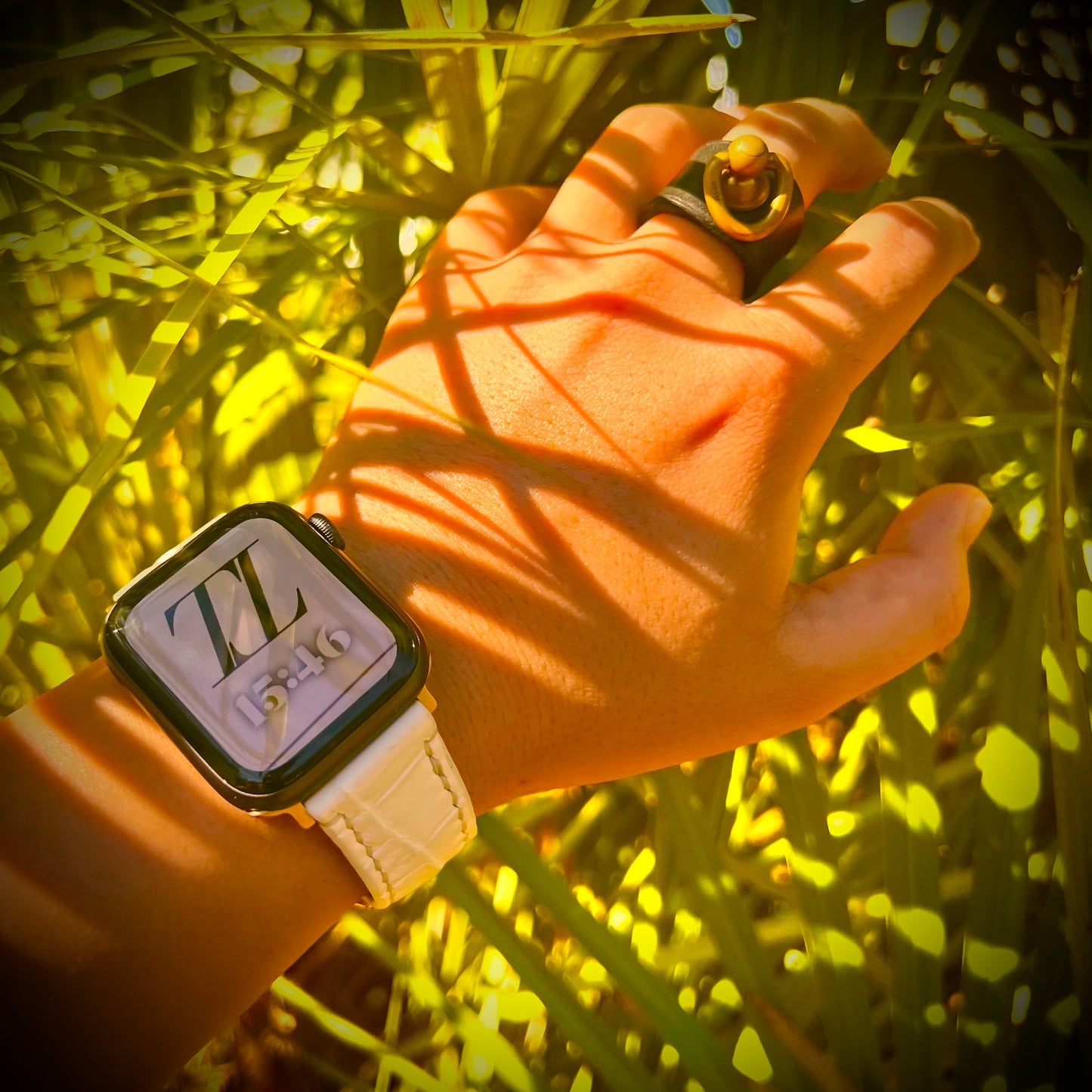 Apple Watch band-Fuji Series