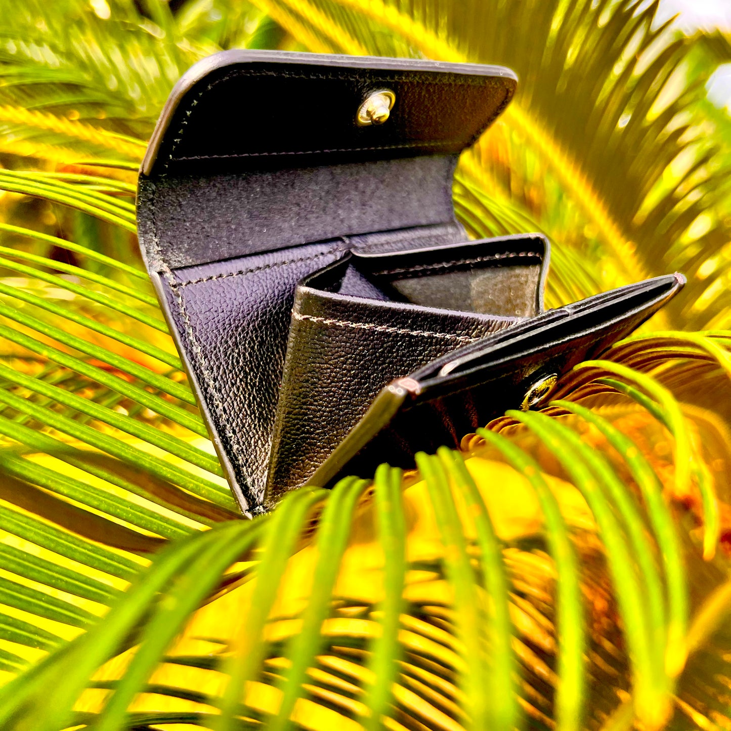 LFT Coin Case