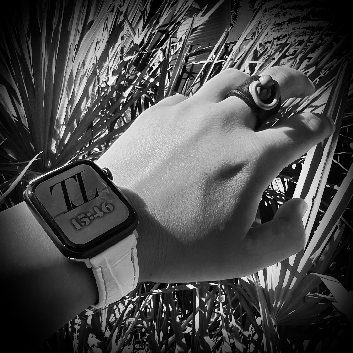 Apple Watch band-Fuji Series