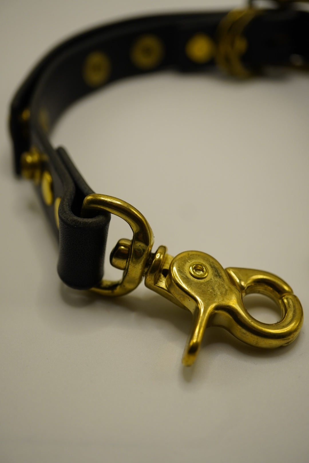 Multi-use belt "World's first"