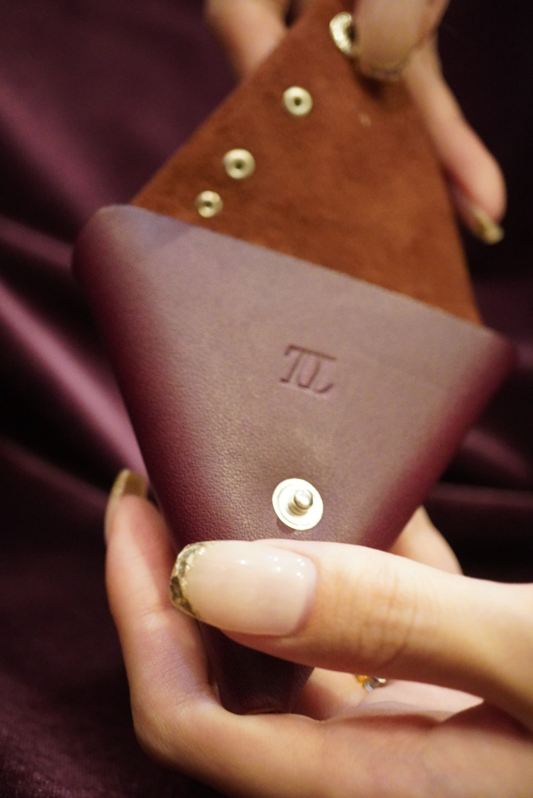 Fibona Coin case