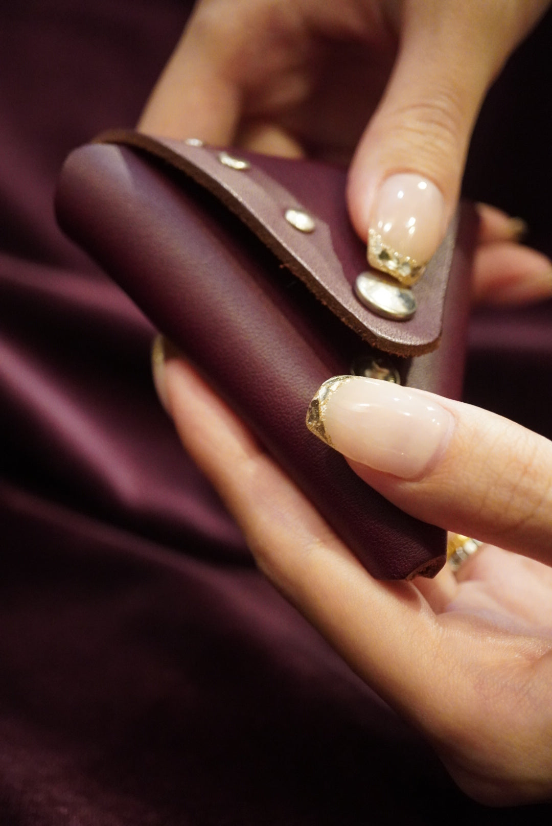 Fibona Coin case