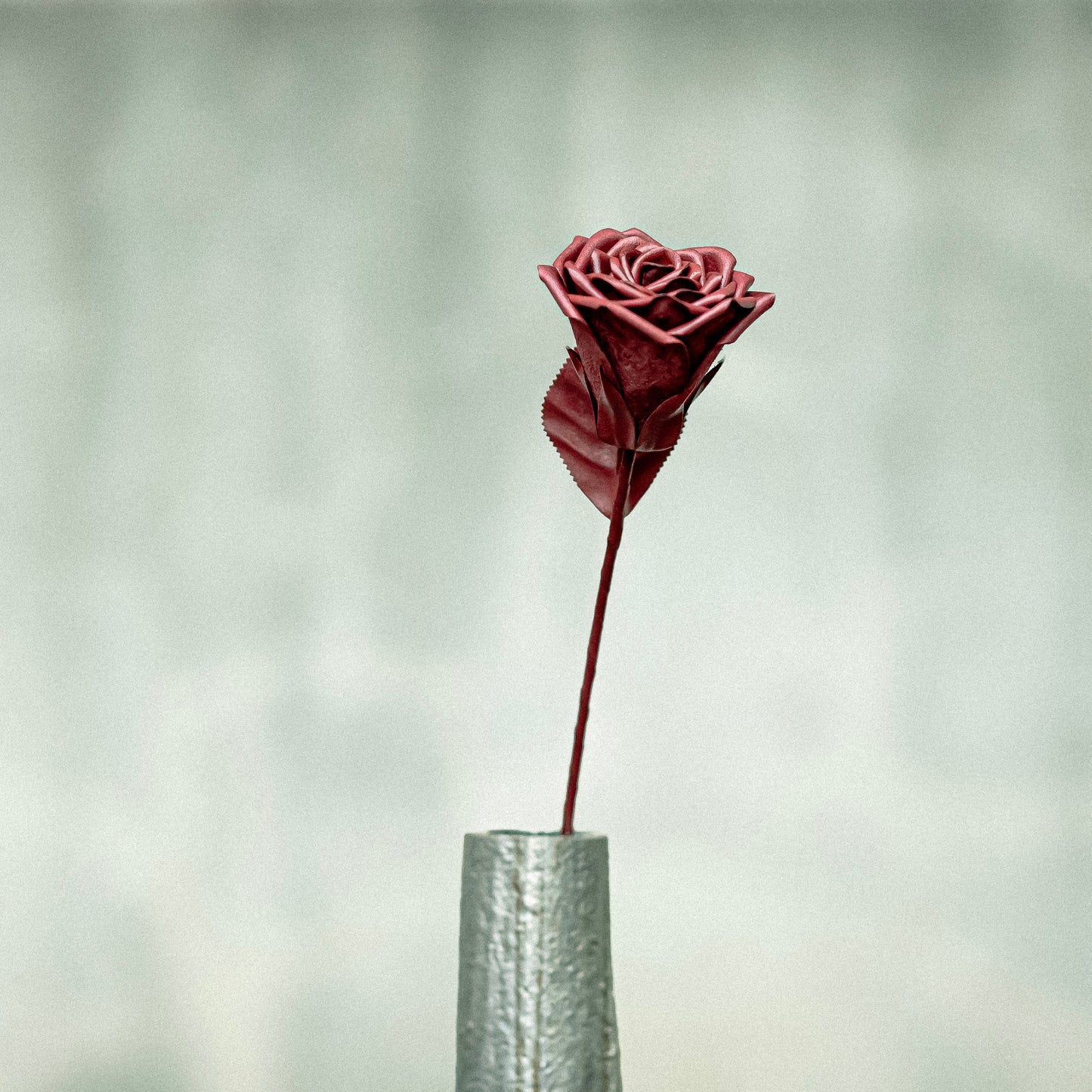 TAIZAN ROSE - WineRed