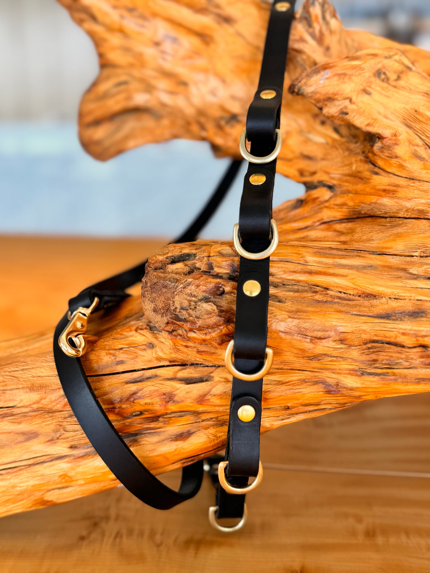 Multi Shoulder Strap