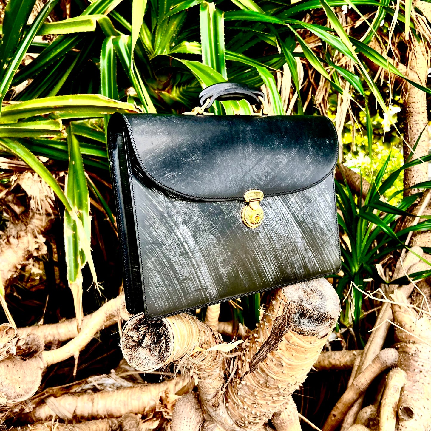 Sequoia〜Bridle series〜