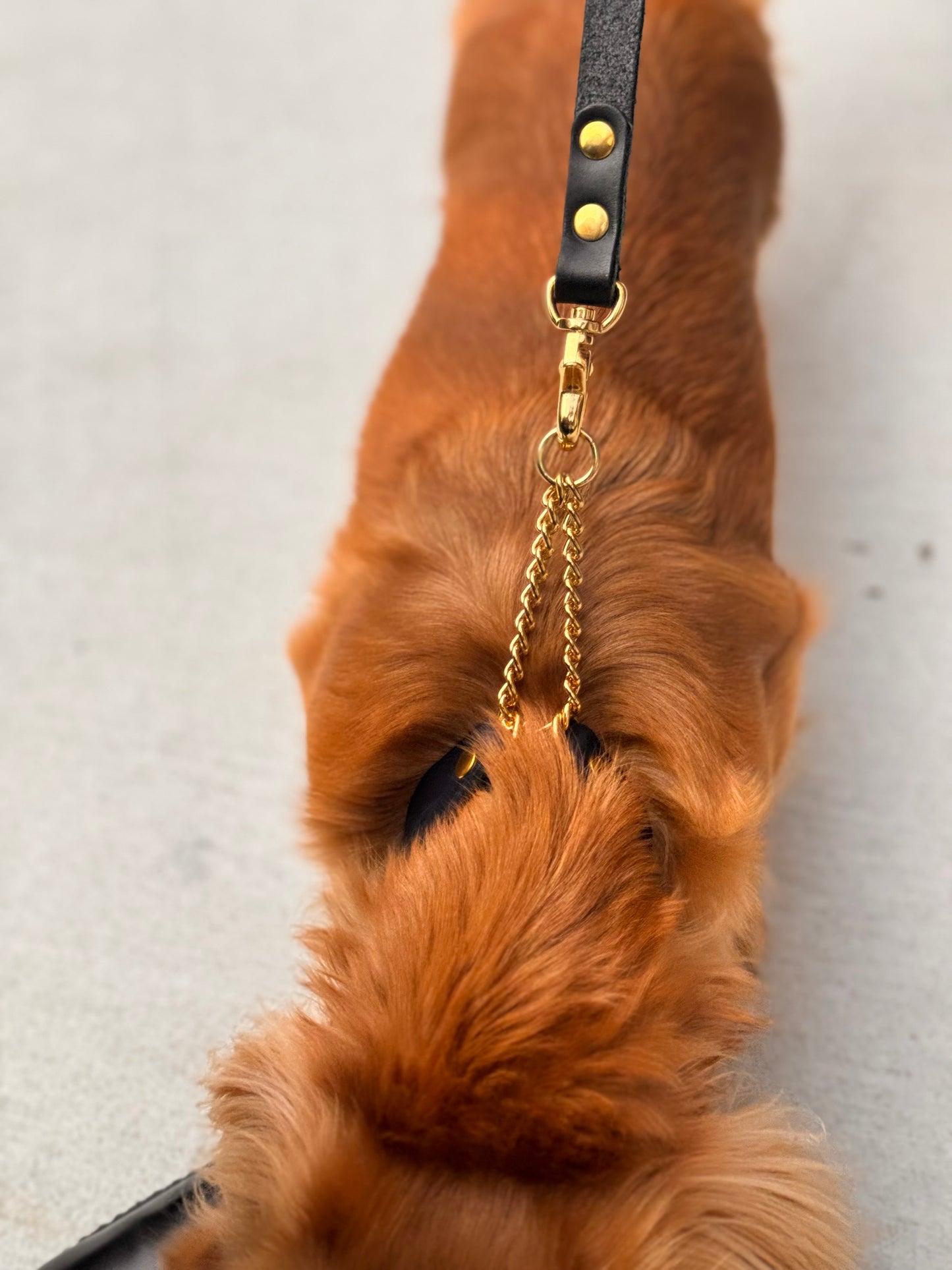 DOG Necklace