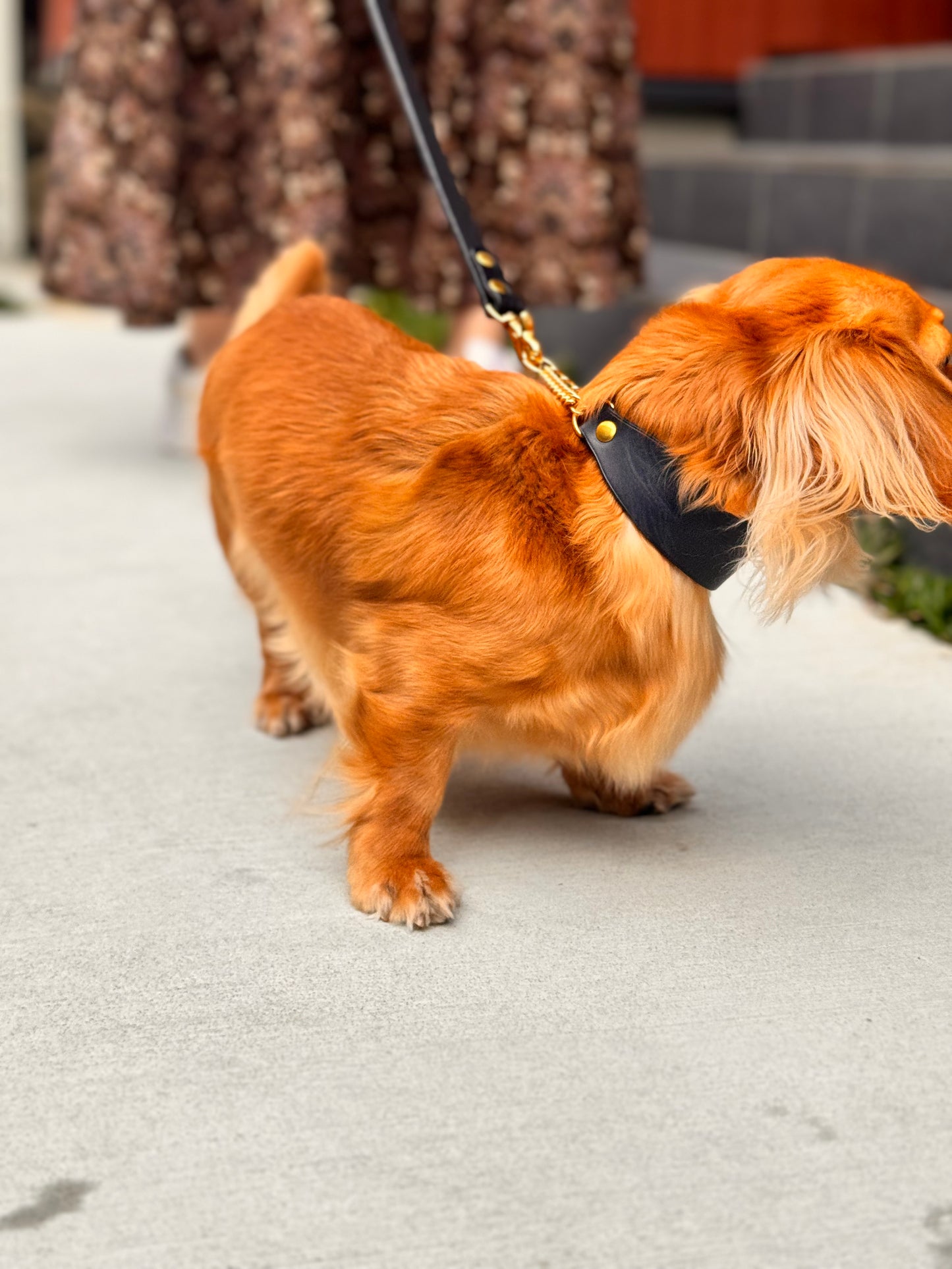 DOG Necklace