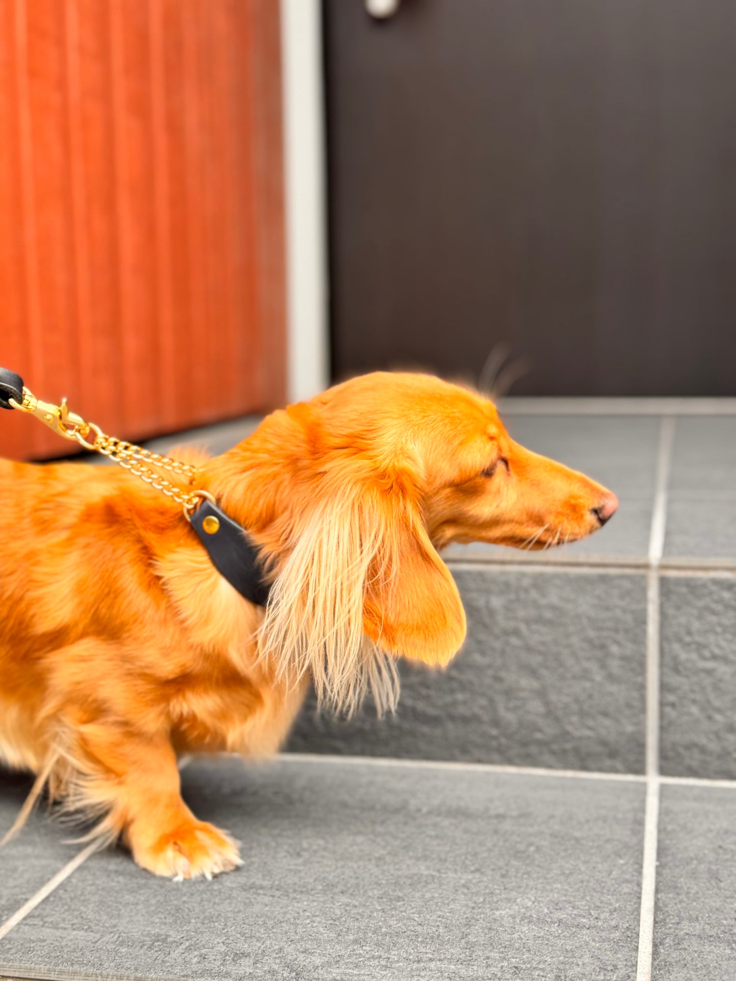DOG Necklace