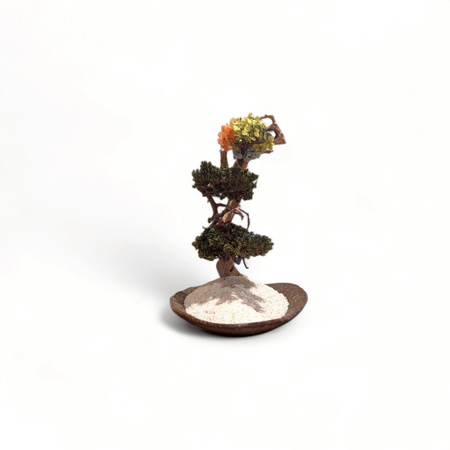 TAIZAN BONSAI - WITHERS