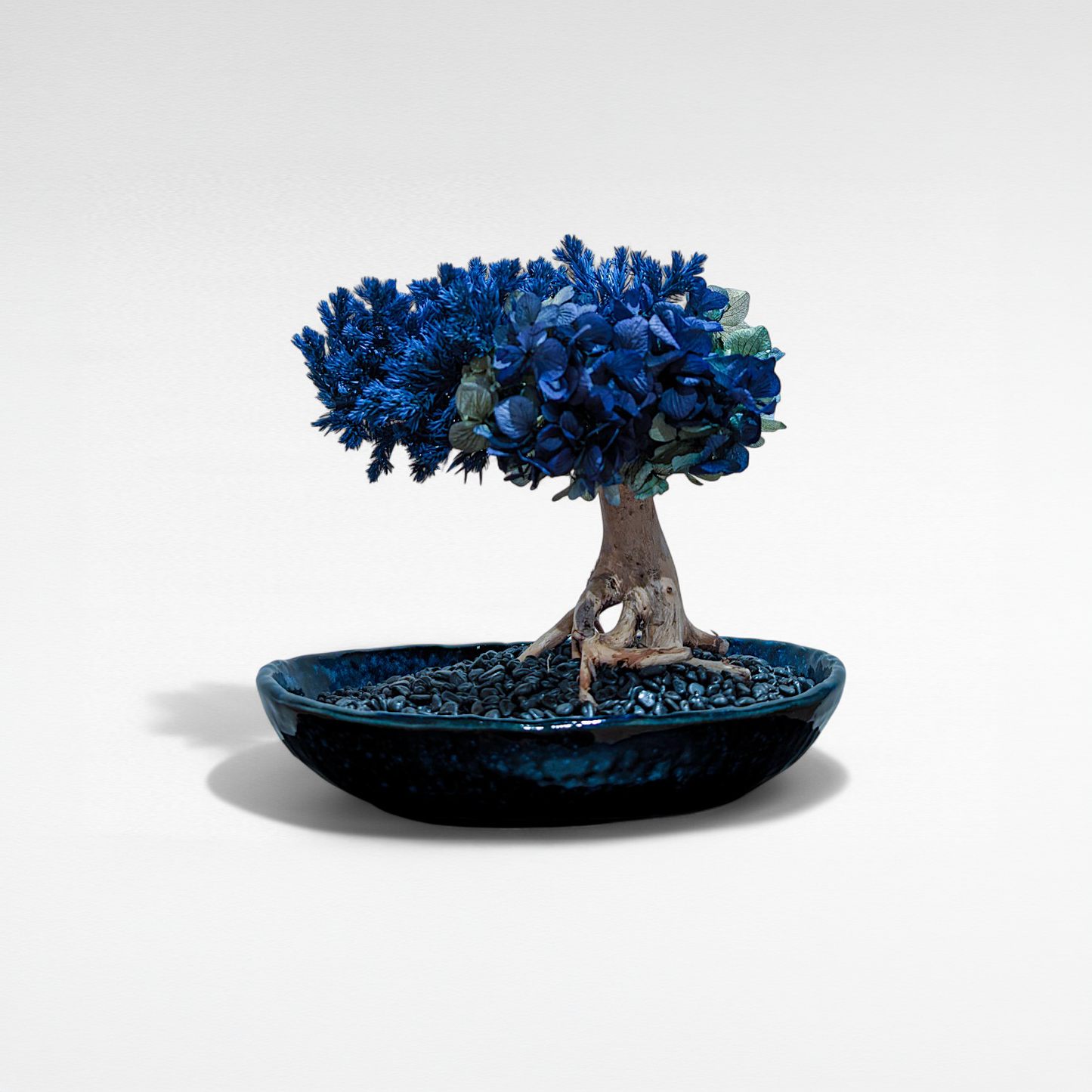 TAIZAN Flower Bonsai -Wabisabi Bonsai Art