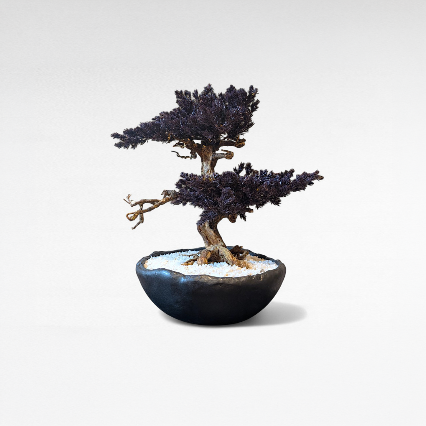 TAIZAN BONSAI (侘び寂び盆栽アート)