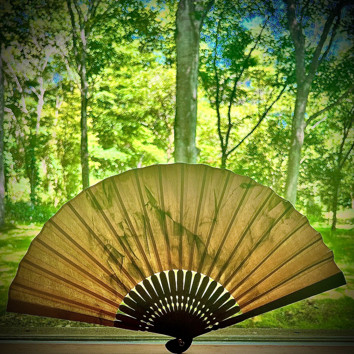 Natural Leather Fan