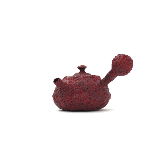TAIZAN SENKA -KYUSU