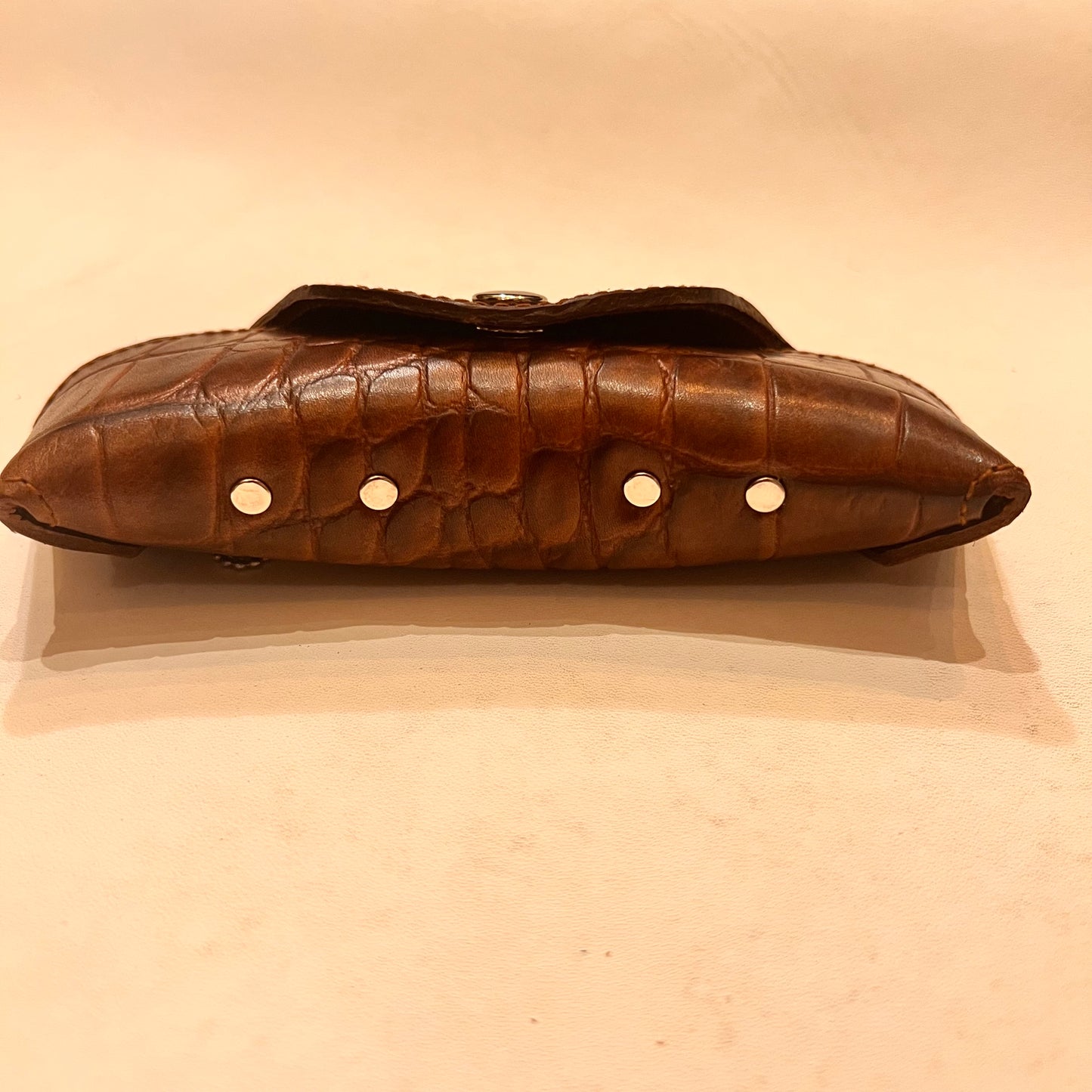 Sunglasses Case