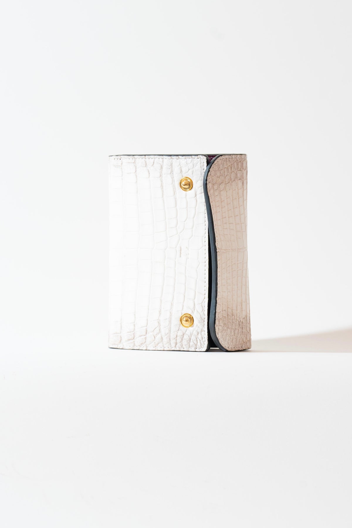 Middle Wallet - Fuji series