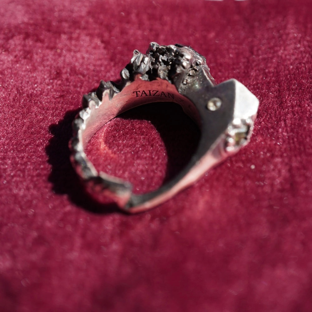 Berg Ring / Silver925
