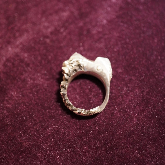 Berg Ring
