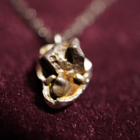TAIZAN SILVER