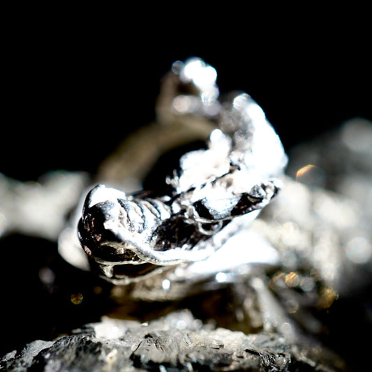 純銀龍リング_SABI