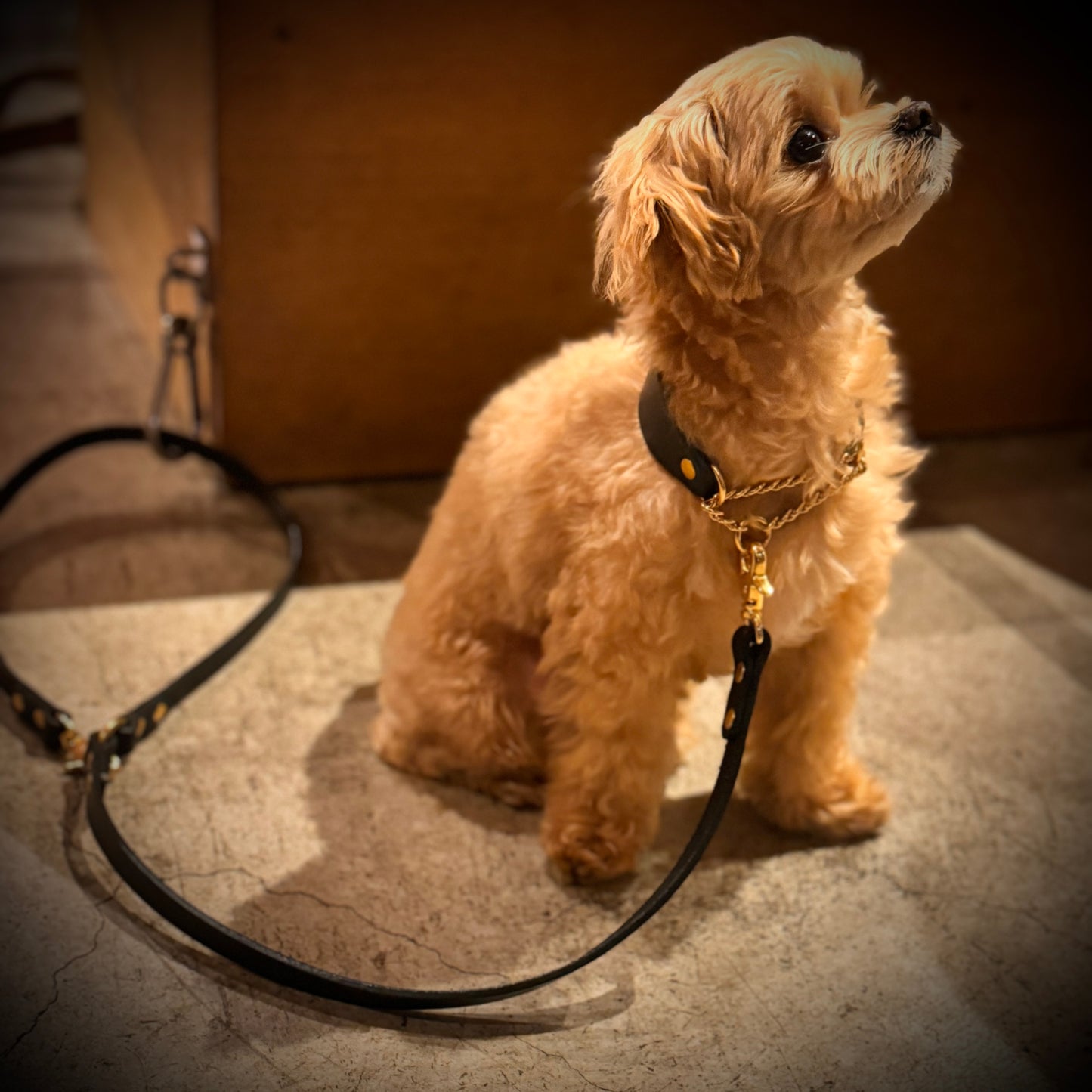 Leather leash for your dog [Natural Leather Series]