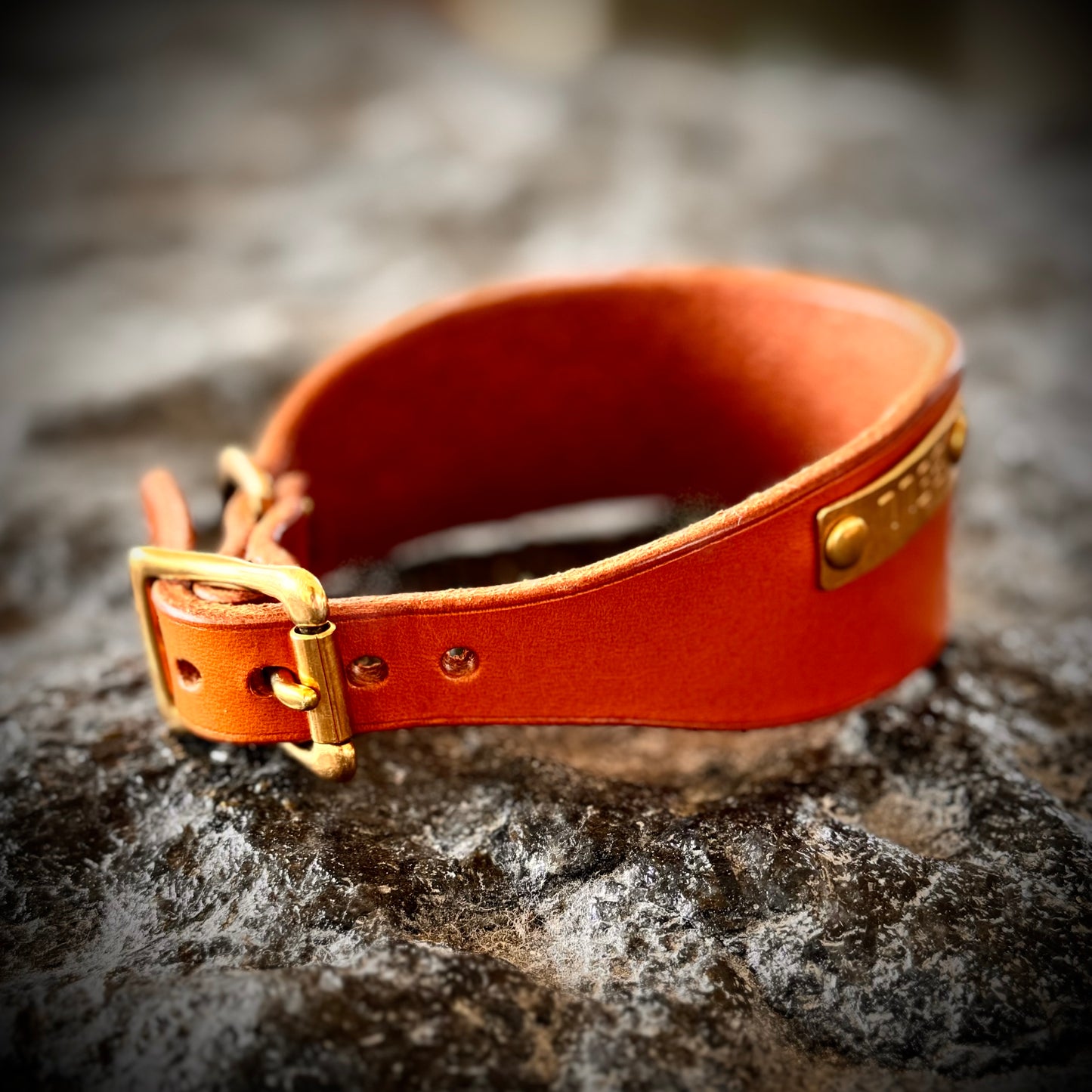 Wide leather collar for your dog [Natural Leather Series]