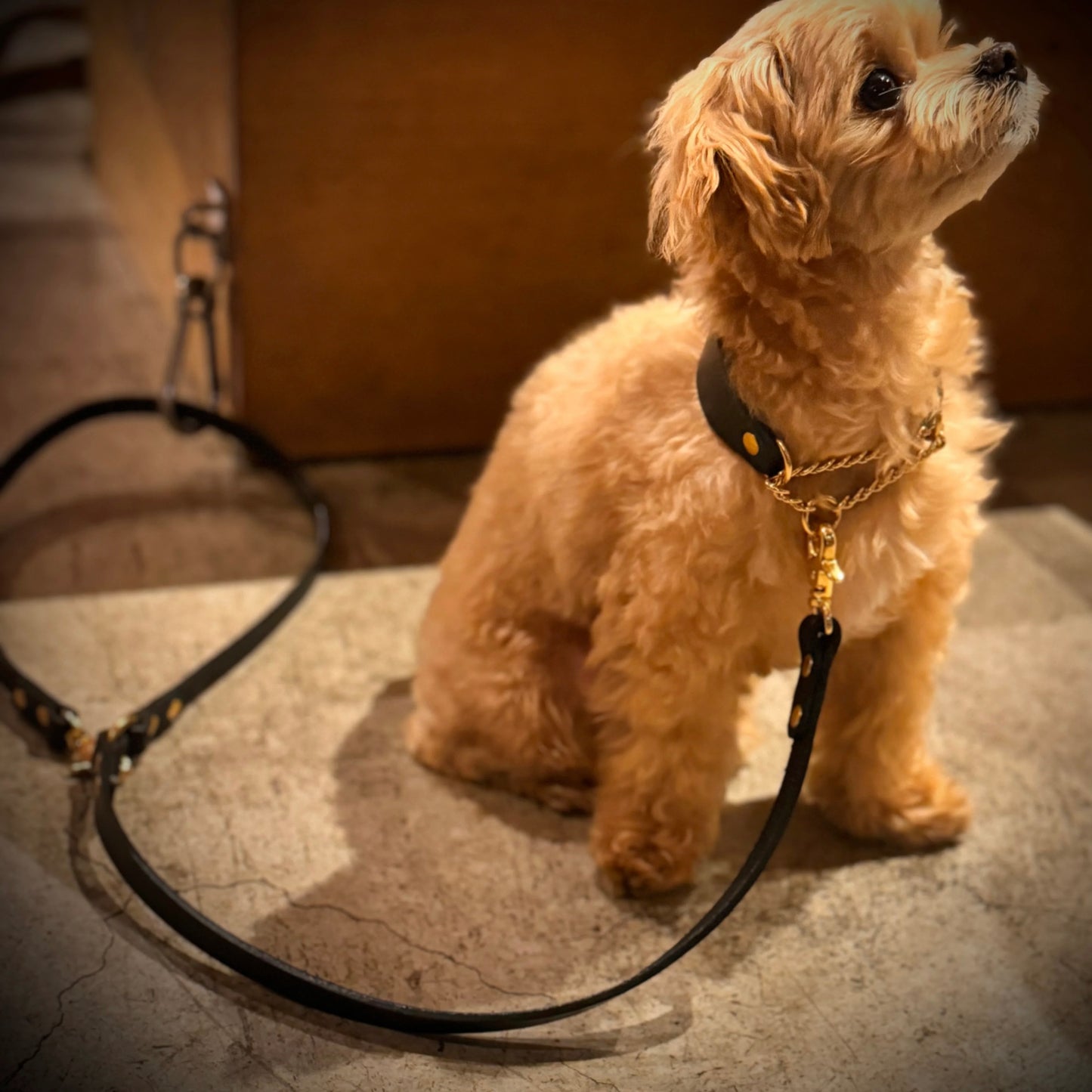 Leather leash for your dog [Natural Leather Series]