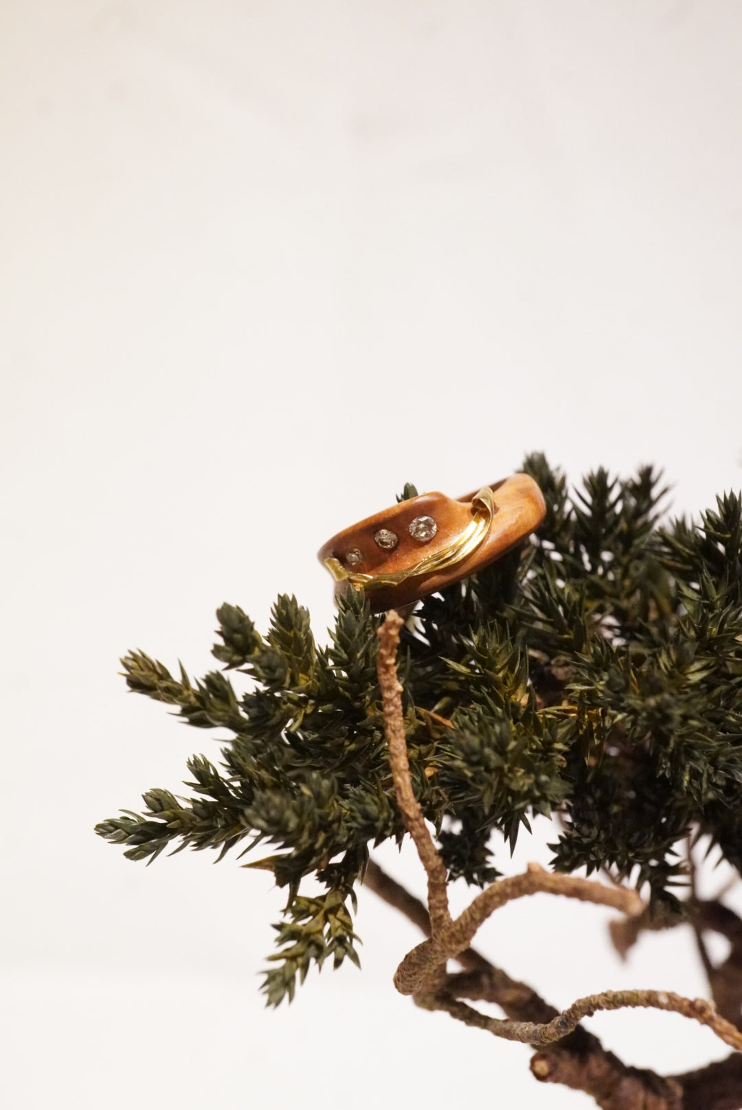Wood Ring -  Gold Diamond