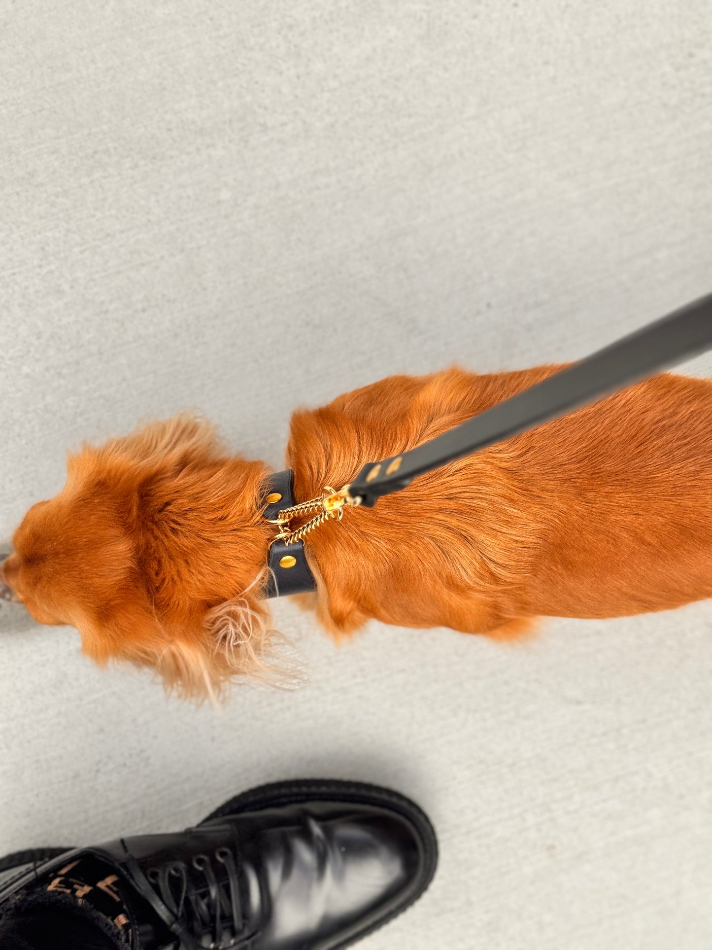 Leather leash for your dog [Natural Leather Series]