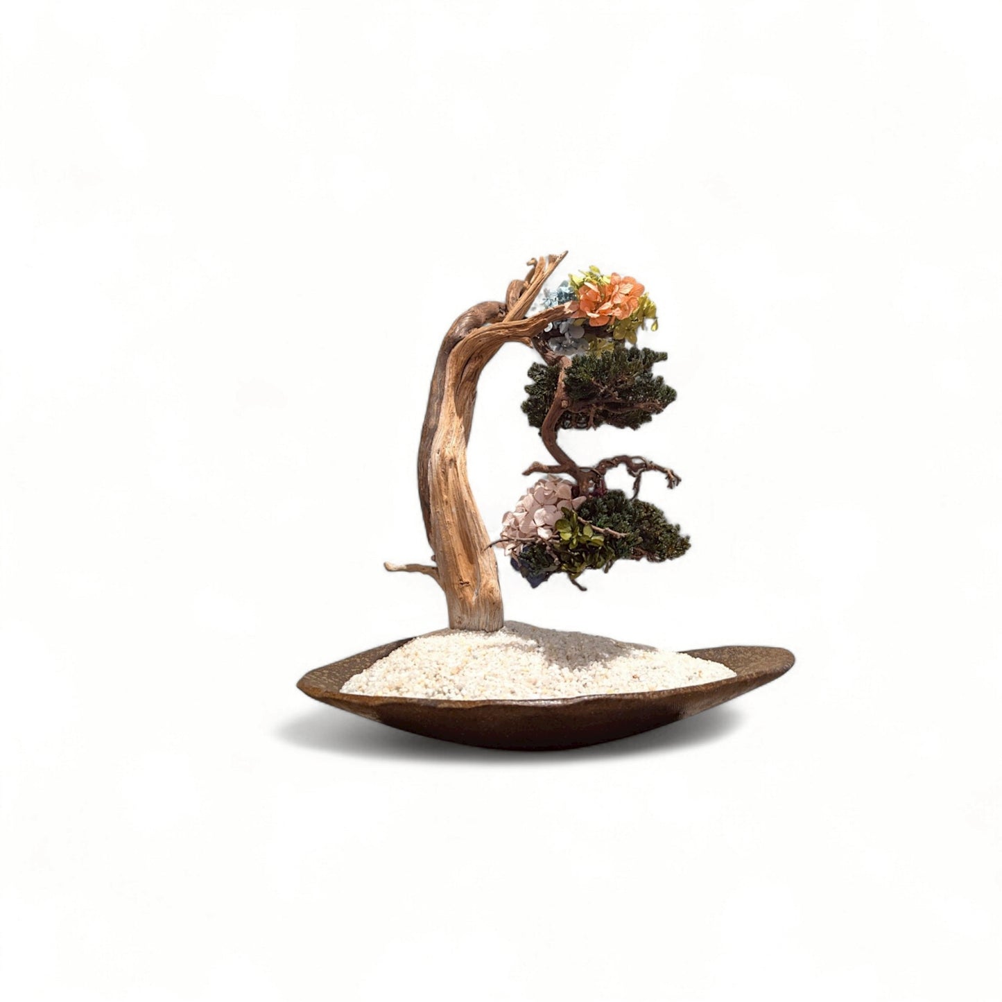 TAIZAN BONSAI - WITHERS