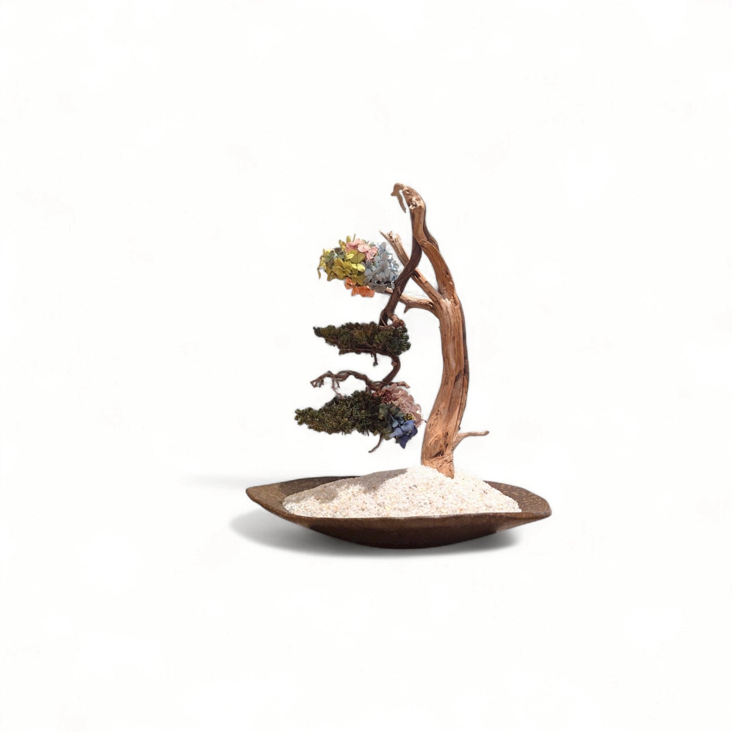 TAIZAN BONSAI - WITHERS