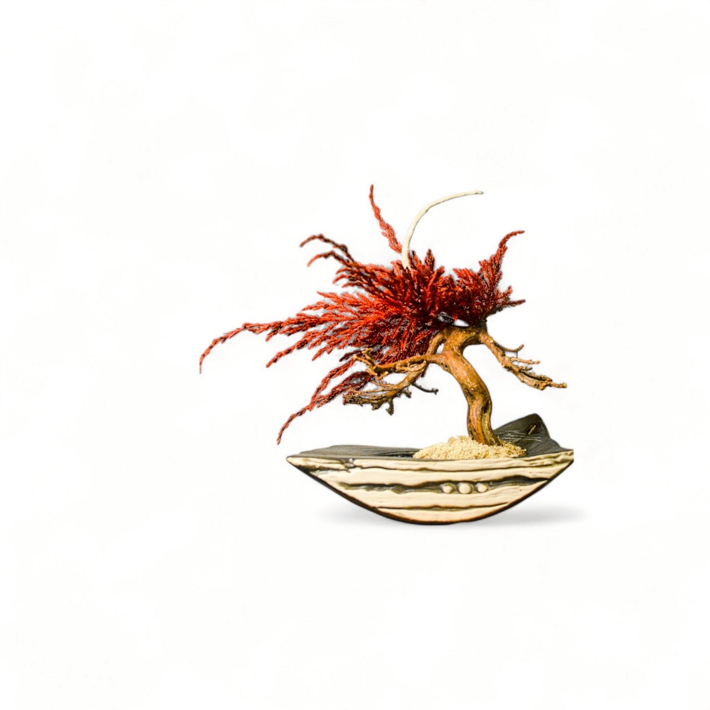 TAIZAN BONSAI - WITHERS