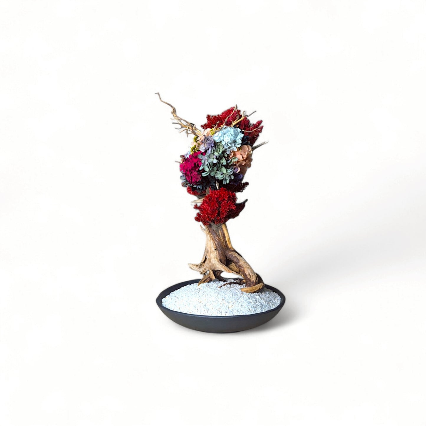 TAIZAN BONSAI - WITHERS