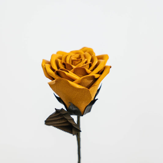 TAIZAN ROSE - Yellow