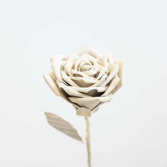 TAIZAN ROSE - White