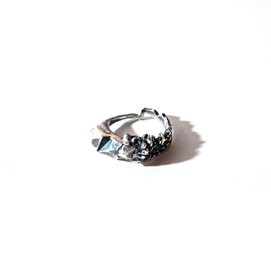 TAIZAN SILVER