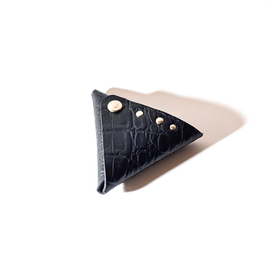 Fibona Coin case
