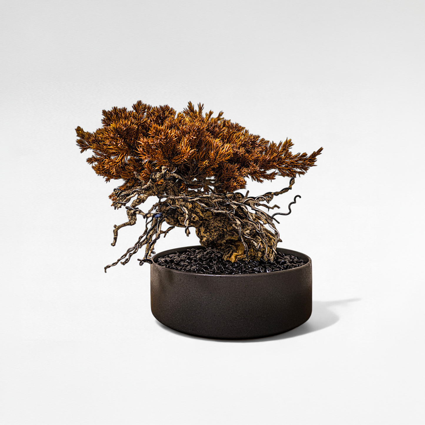 TAIZAN BONSAI （侘び寂び盆栽アート）