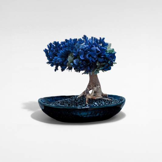 TAIZAN Flower Bonsai -Wabisabi Bonsai Art