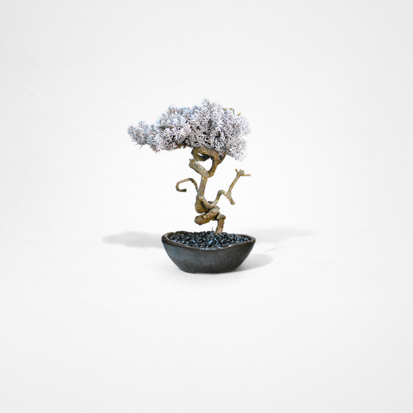 TAIZAN BONSAI （Wabisabi Bonsai Art）